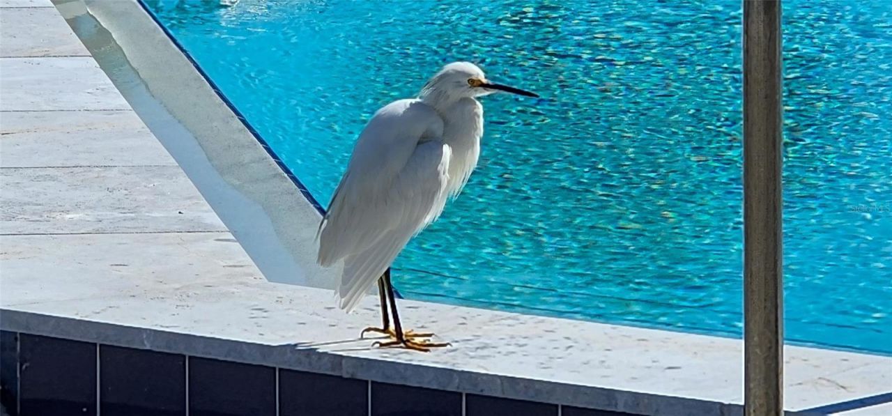 501 N Causeway, Unit 3070, New Smyrna Beach, FL 32169 Photo