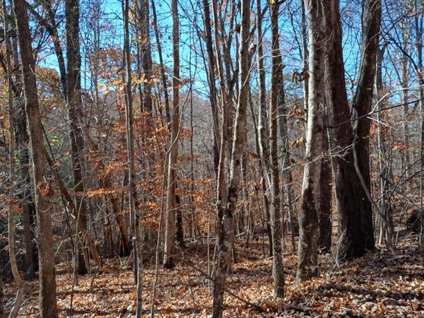 55 Old Barn RD, Moneta, VA 24121