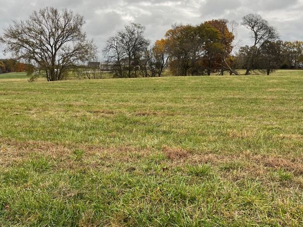0 Glen Raven Road, Cedar Hill, TN 37032