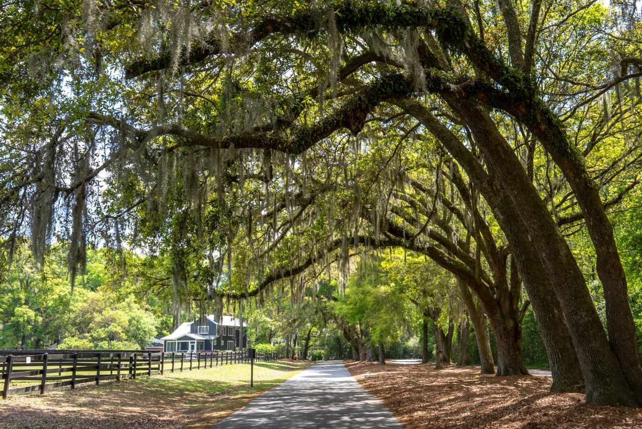 5276 7th Green Drive Photo 45