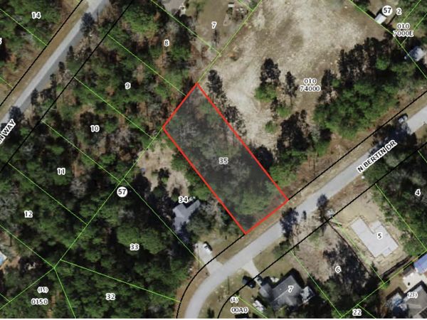 9131 N Bertin Drive, Citrus Springs, FL 34434