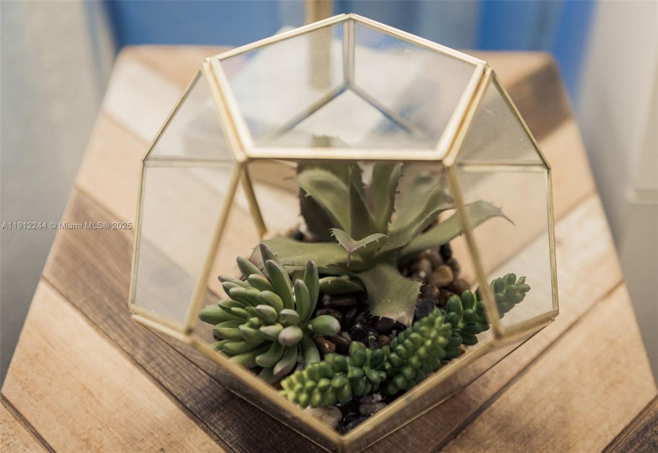 302 Balboa St, Hollywood, FL 33019 Photo