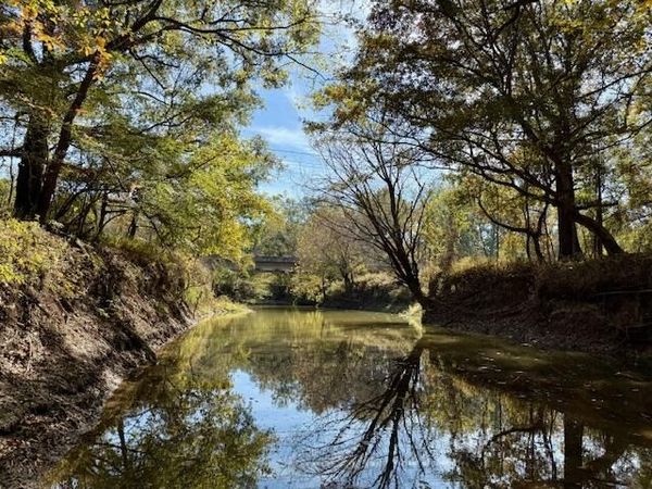 Hwy. 50, Cedar Bluff, MS 39773