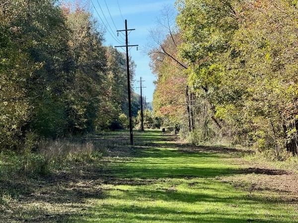 Hwy. 50, Cedar Bluff, MS 39773