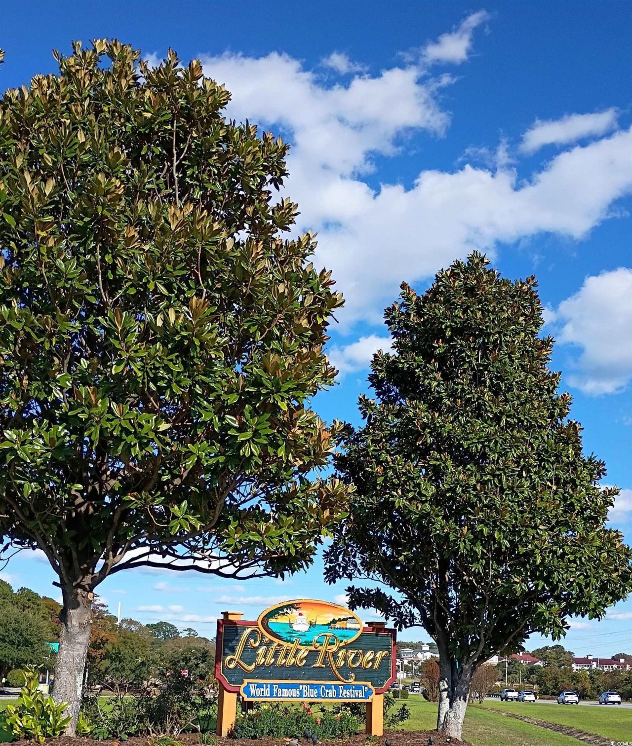 4234 Pinehurst Circle Photo 5