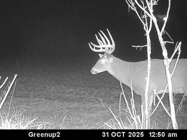 00 County Road 1825E, Greenup, IL 62428