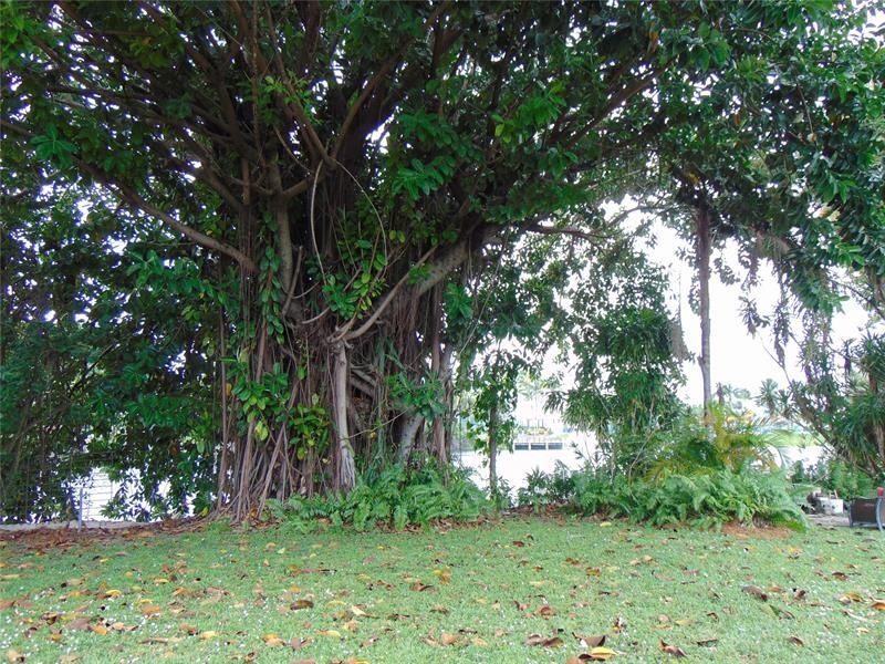 1925 NW 62nd Ter, Margate, FL 33063 Photo