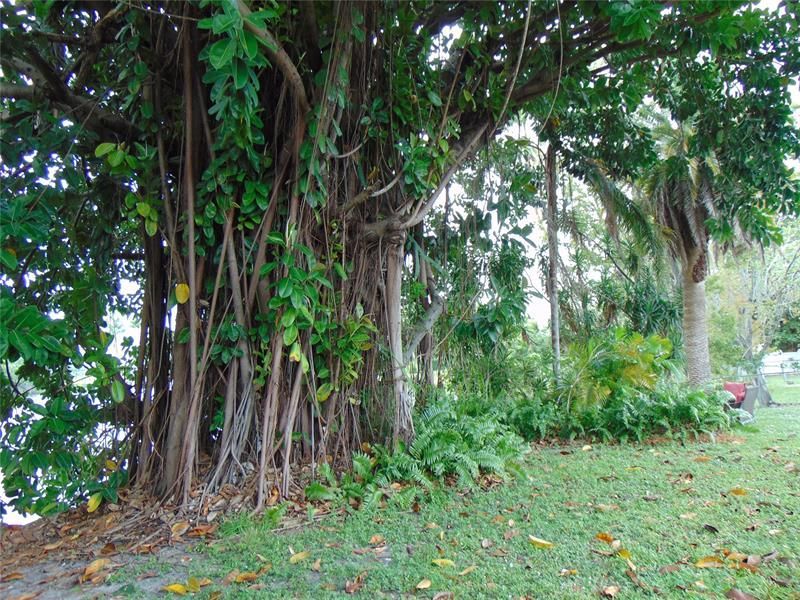 1925 NW 62nd Ter, Margate, FL 33063 Photo