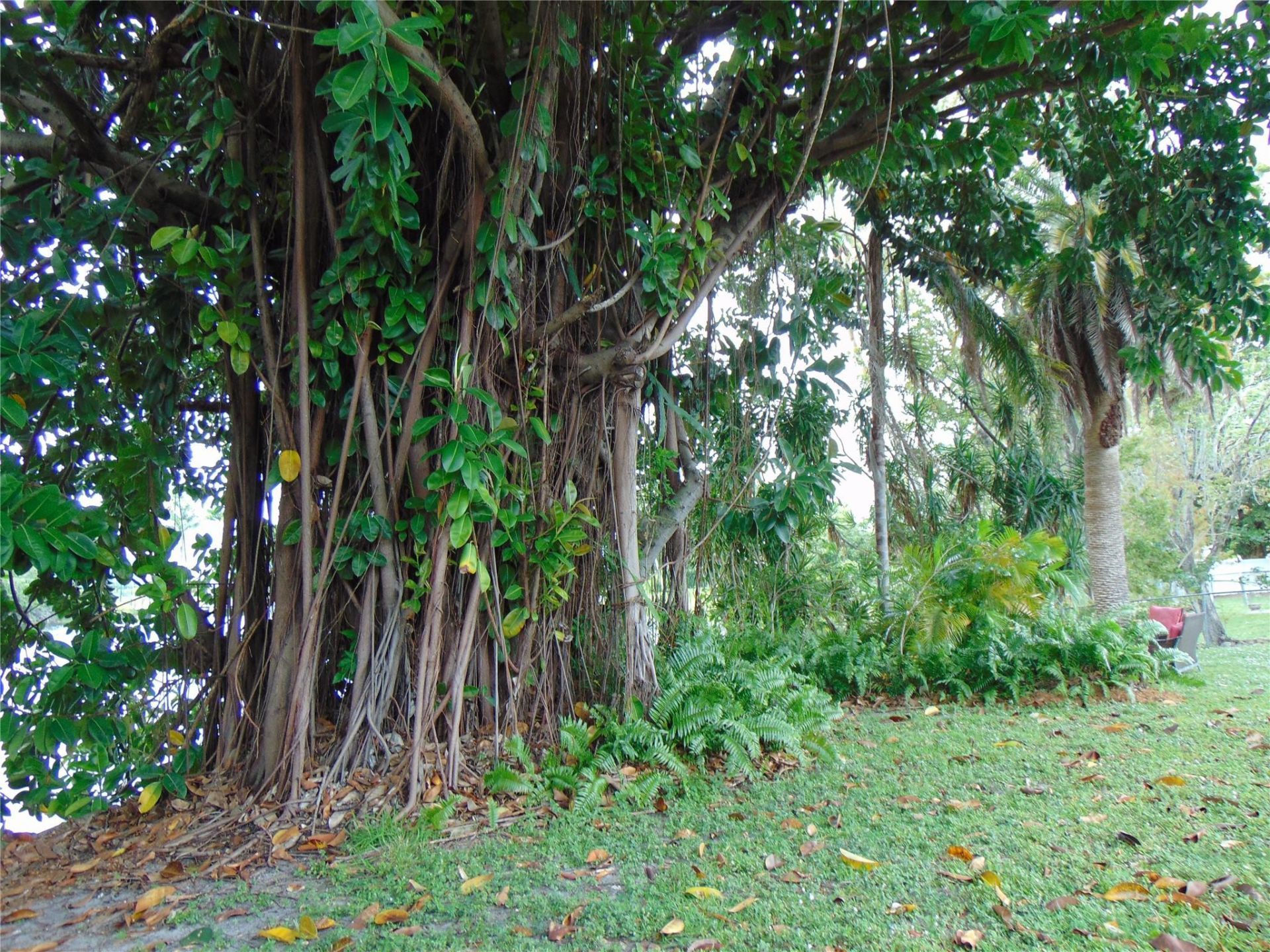 1925 NW 62nd Terrace, Margate, FL 33063 Photo