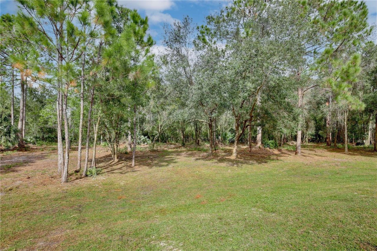 1255 Flint Trail, Geneva, FL 32732 Photo