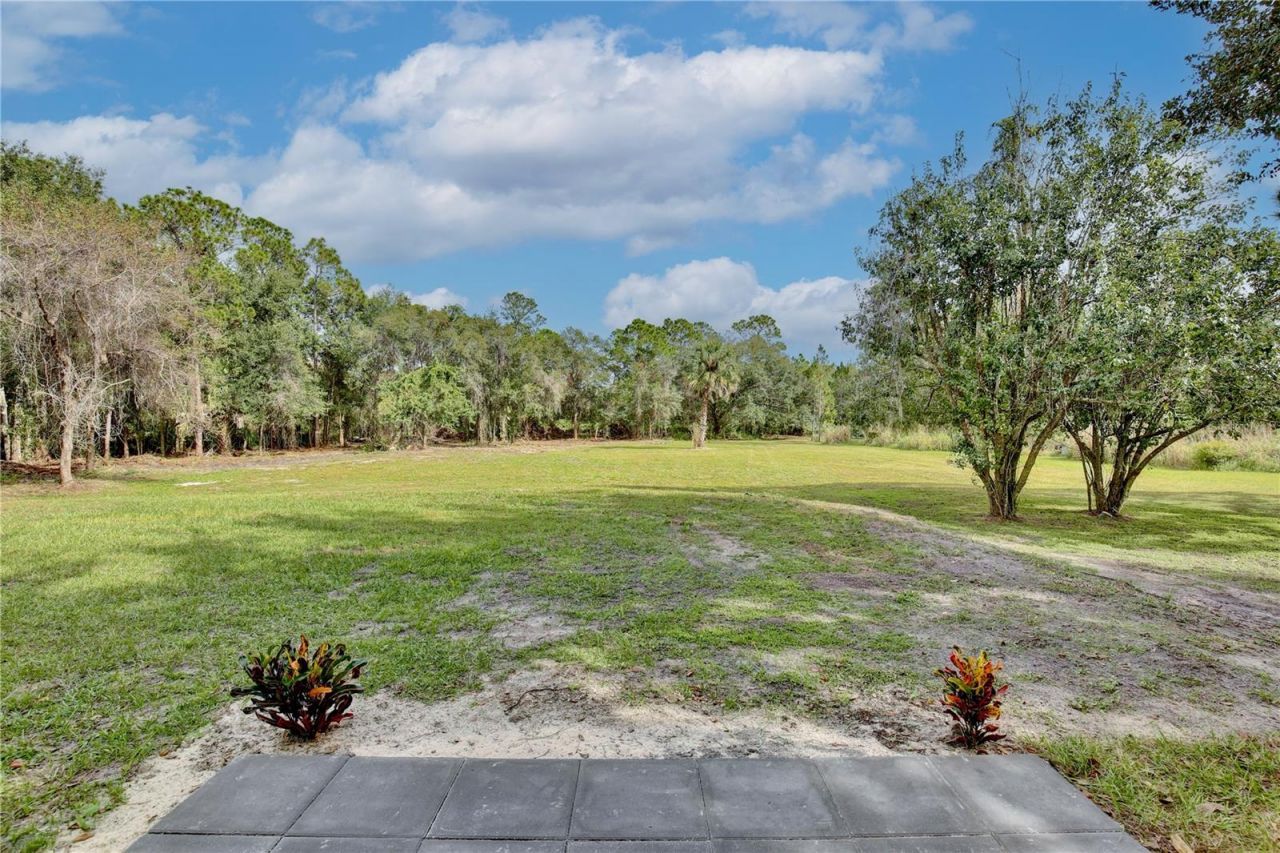 1255 Flint Trail, Geneva, FL 32732 Photo