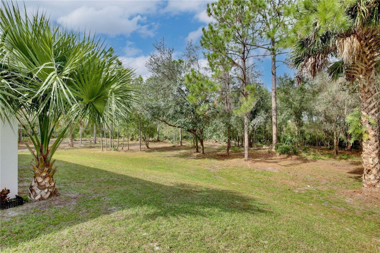 1255 Flint Trail, Geneva, FL 32732 Photo