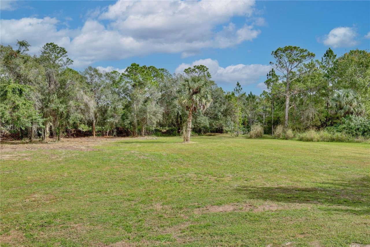 1255 Flint Trail, Geneva, FL 32732 Photo