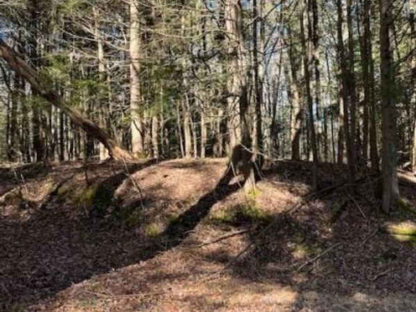 198 W Starlight Drive, Smallwood, NY 12778