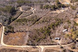 236 Placid Circle photo 4