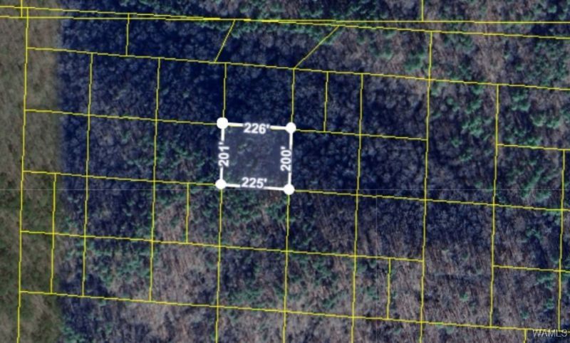 000 Handley Road, Berry, AL 35546 Main Photo