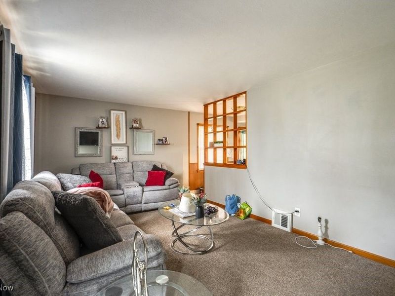 29800 Robert Street, Wickliffe, OH 44092 Photo 8