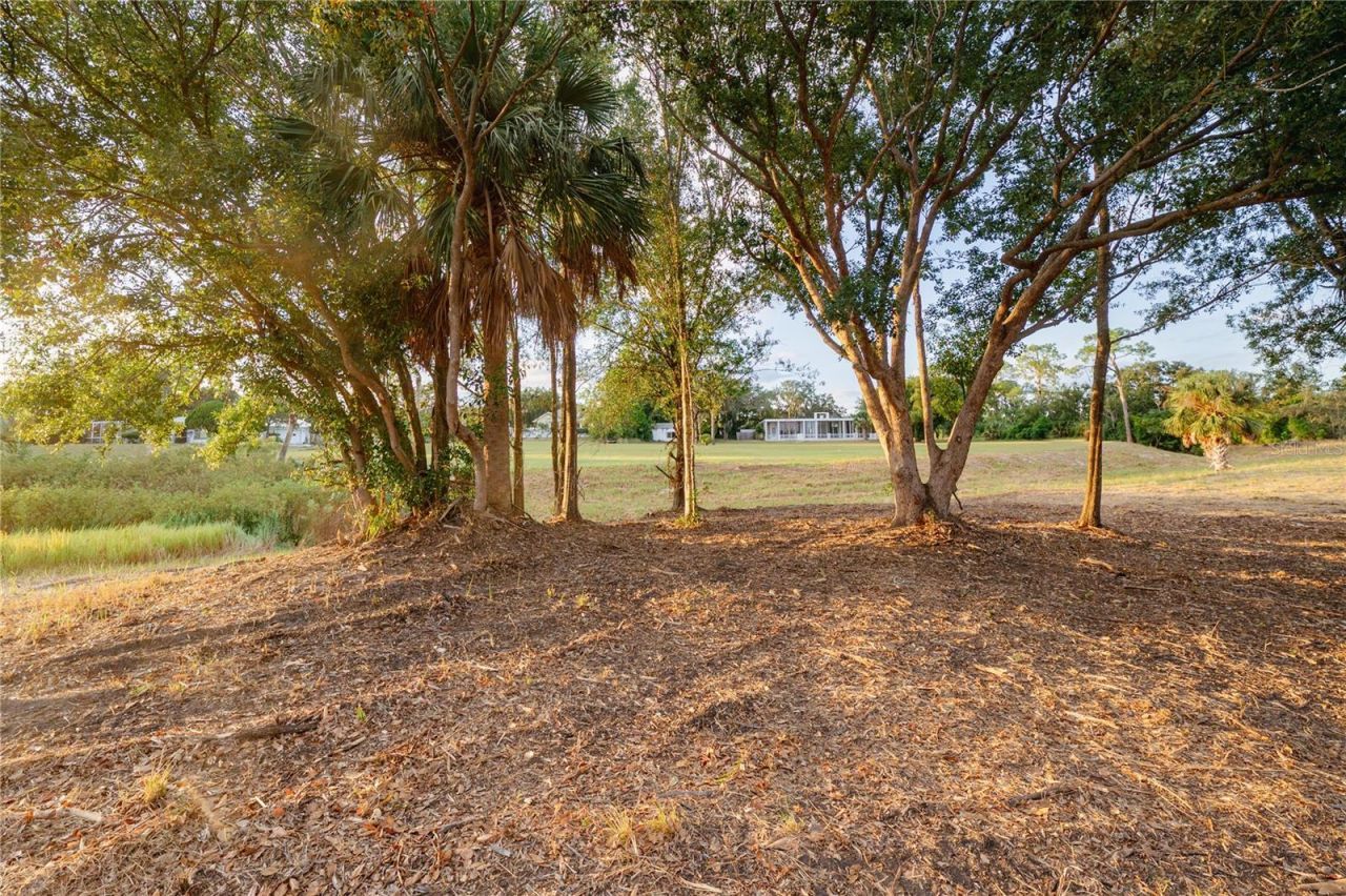 1938 Highland Park Drive S, Lake Wales, FL 33898 Photo