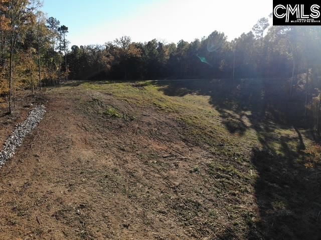 Dominick Road Photo 20