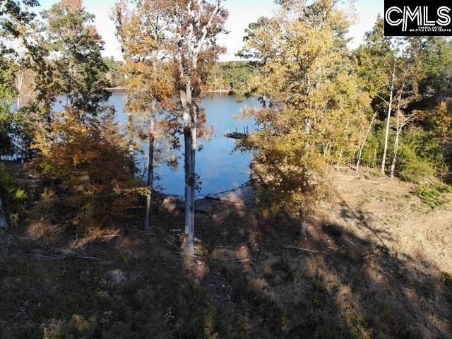 Dominick Road Photo 28