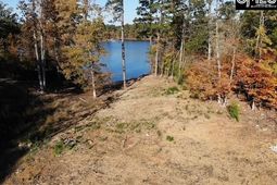 Dominick Road photo 4