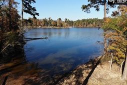 Dominick Road photo 4