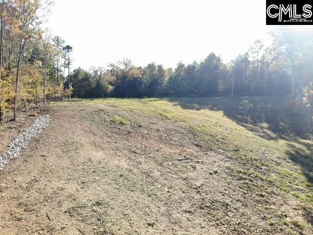 Dominick Road Photo 6