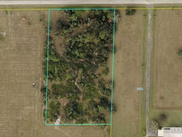 303 County Road 830, FELDA, FL 33930