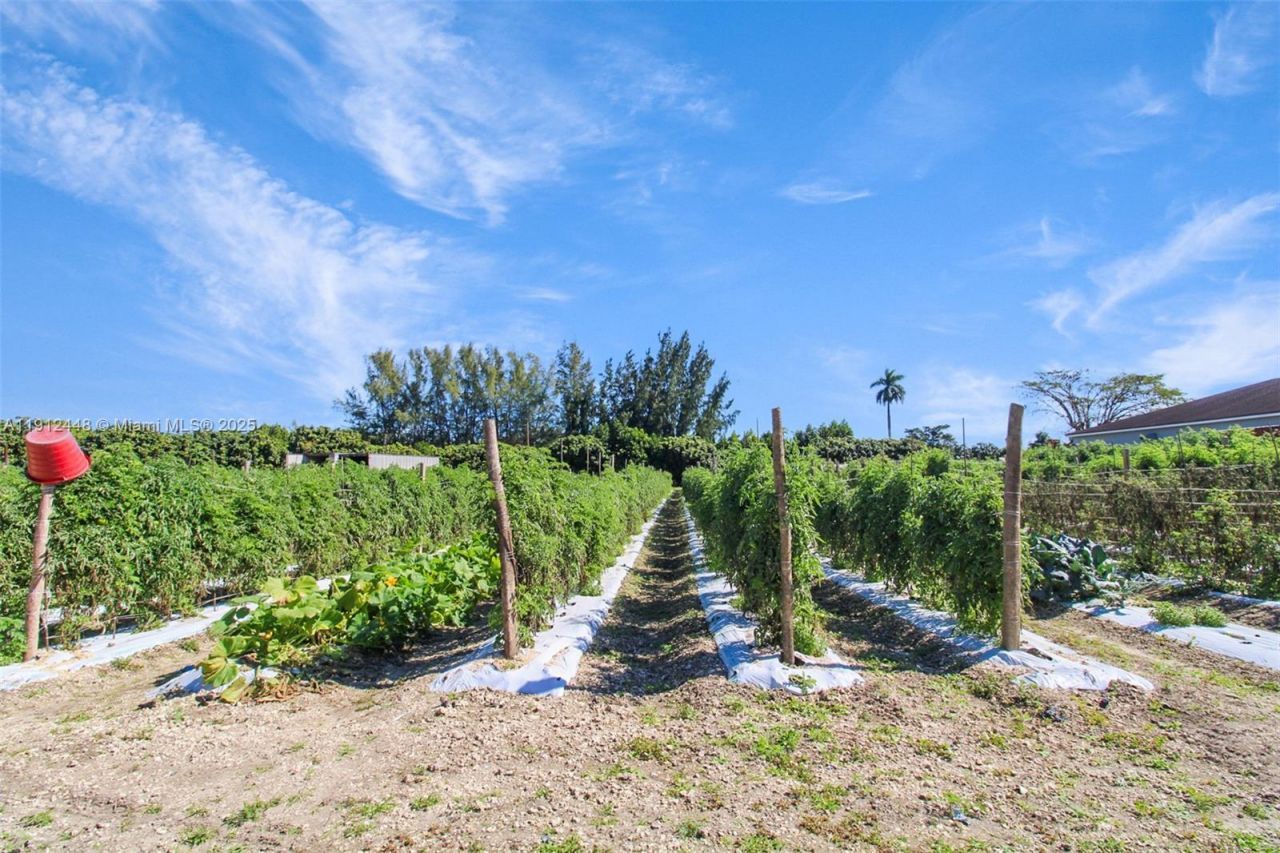 19051 SW 147th Ave, Miami, FL 33187 Photo