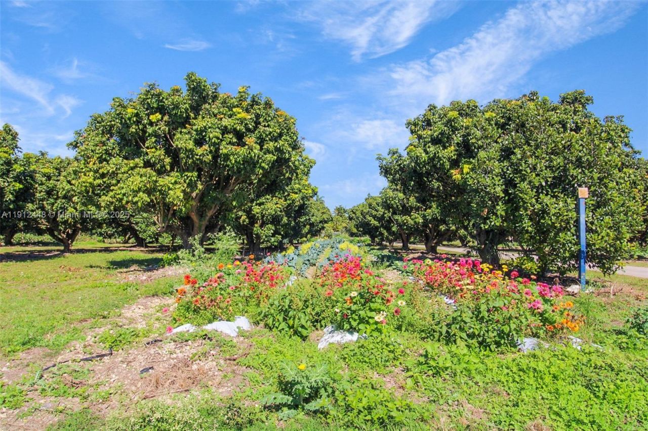 19051 SW 147th Ave, Miami, FL 33187 Photo