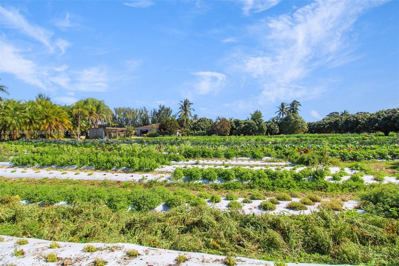 19051 SW 147th Ave, Miami, FL 33187 Photo