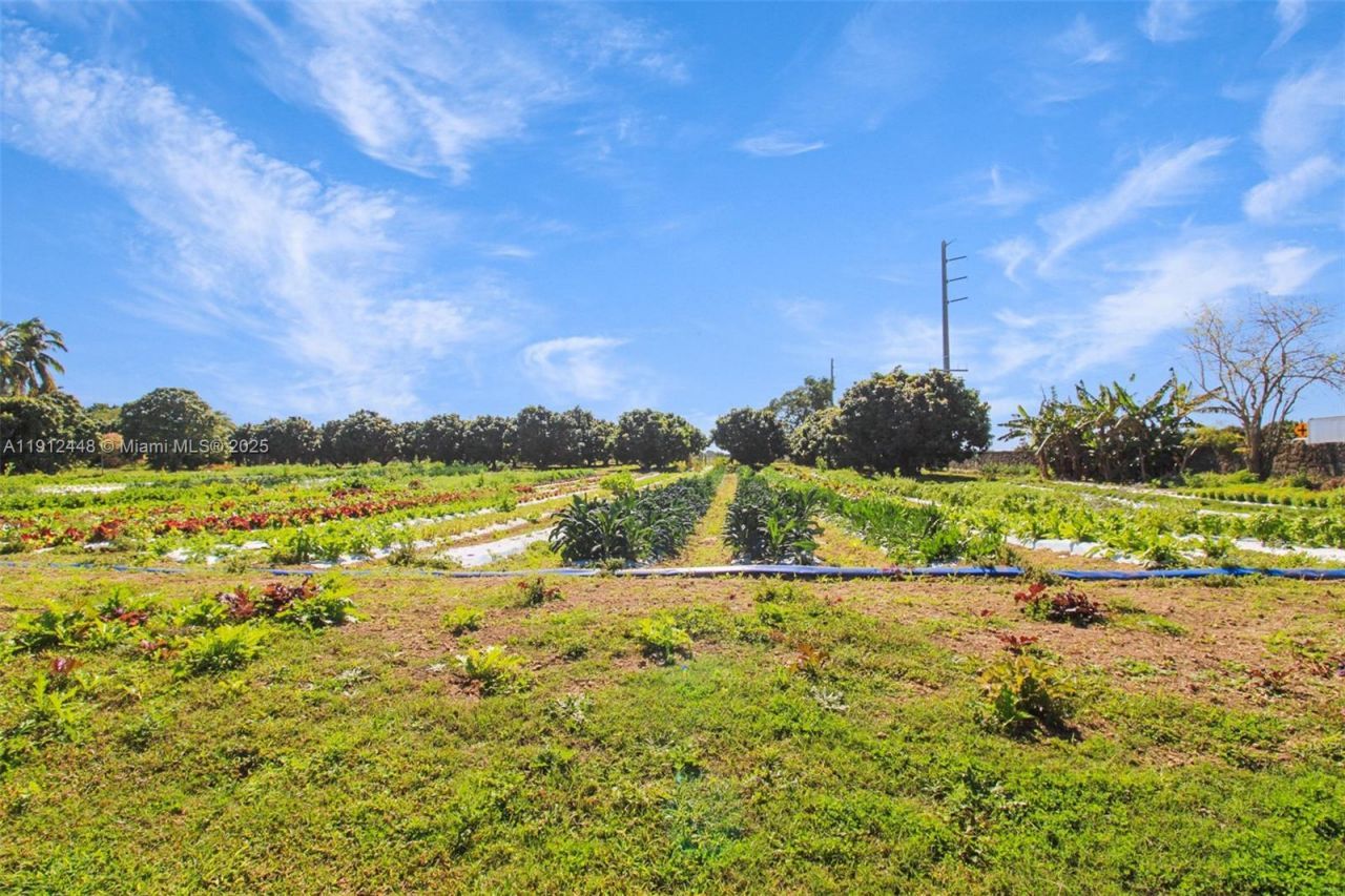 19051 SW 147th Ave, Miami, FL 33187 Photo