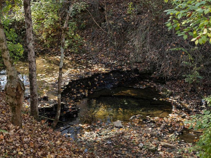 4545 Central College Road, Westerville, OH 43081 Photo 79