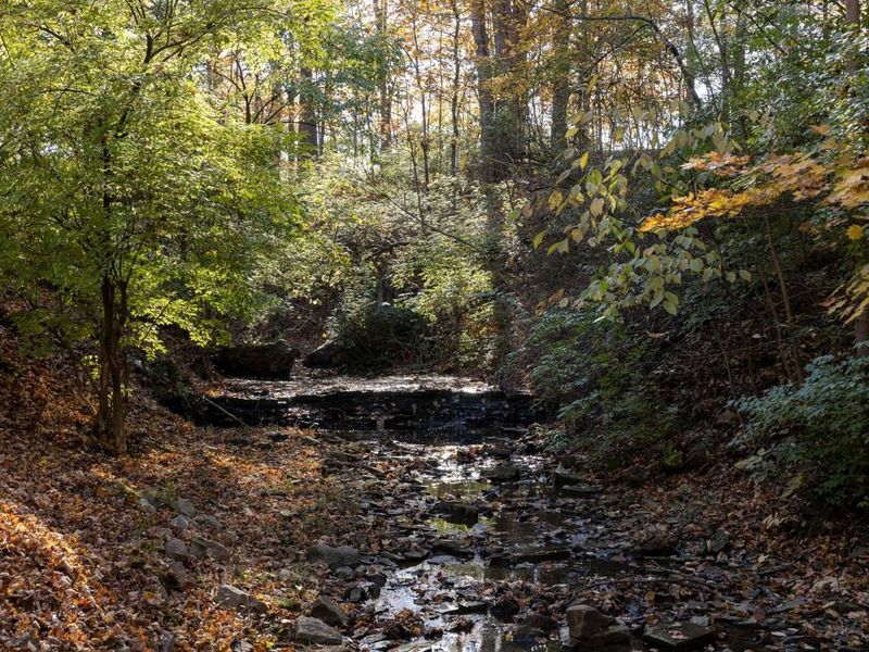 4545 Central College Road, Westerville, OH 43081 Photo 8