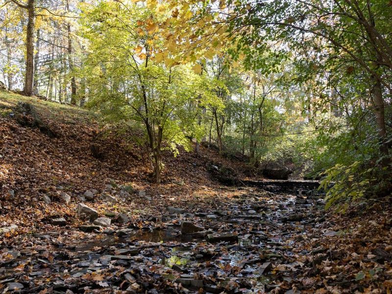 4545 Central College Road, Westerville, OH 43081 Photo 80