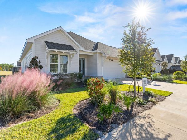 23 Green Heron Street, Unit Lot 54, Watersound, FL 32461