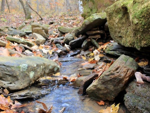 000 TBD Madison 3440, Kingston, AR 72742