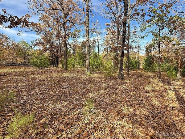 225 W Budinot Drive, Park Hill, OK 74451