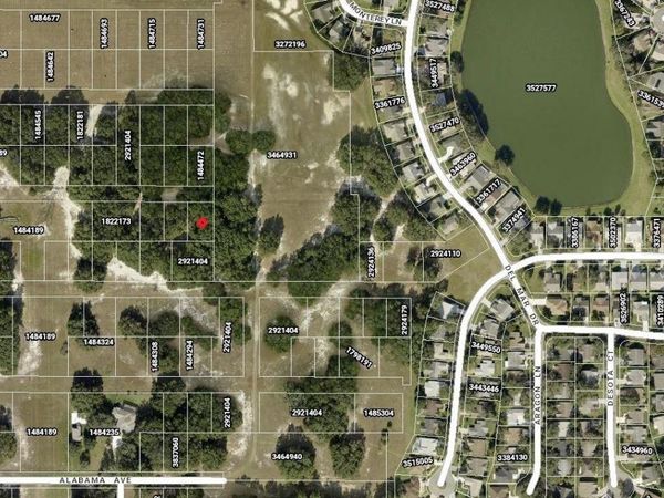DEL MAR DRIVE, LADY LAKE, FL 32159