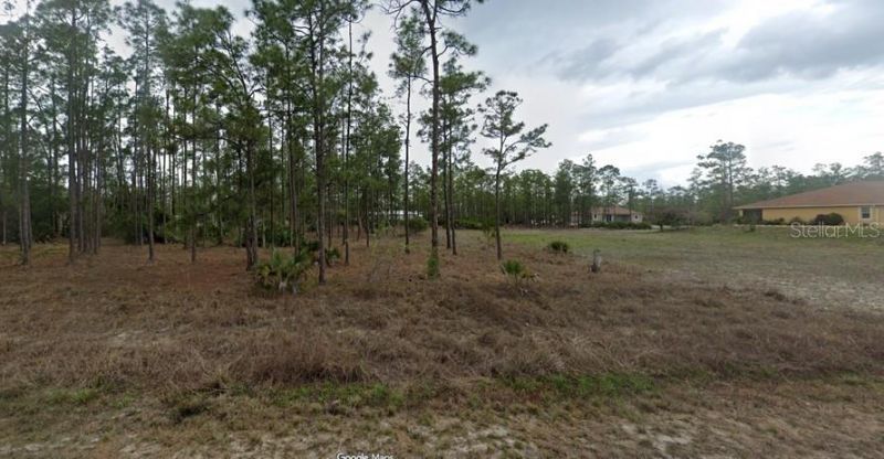 1407 Thompson Avenue, Lehigh Acres, FL 33972 Photo