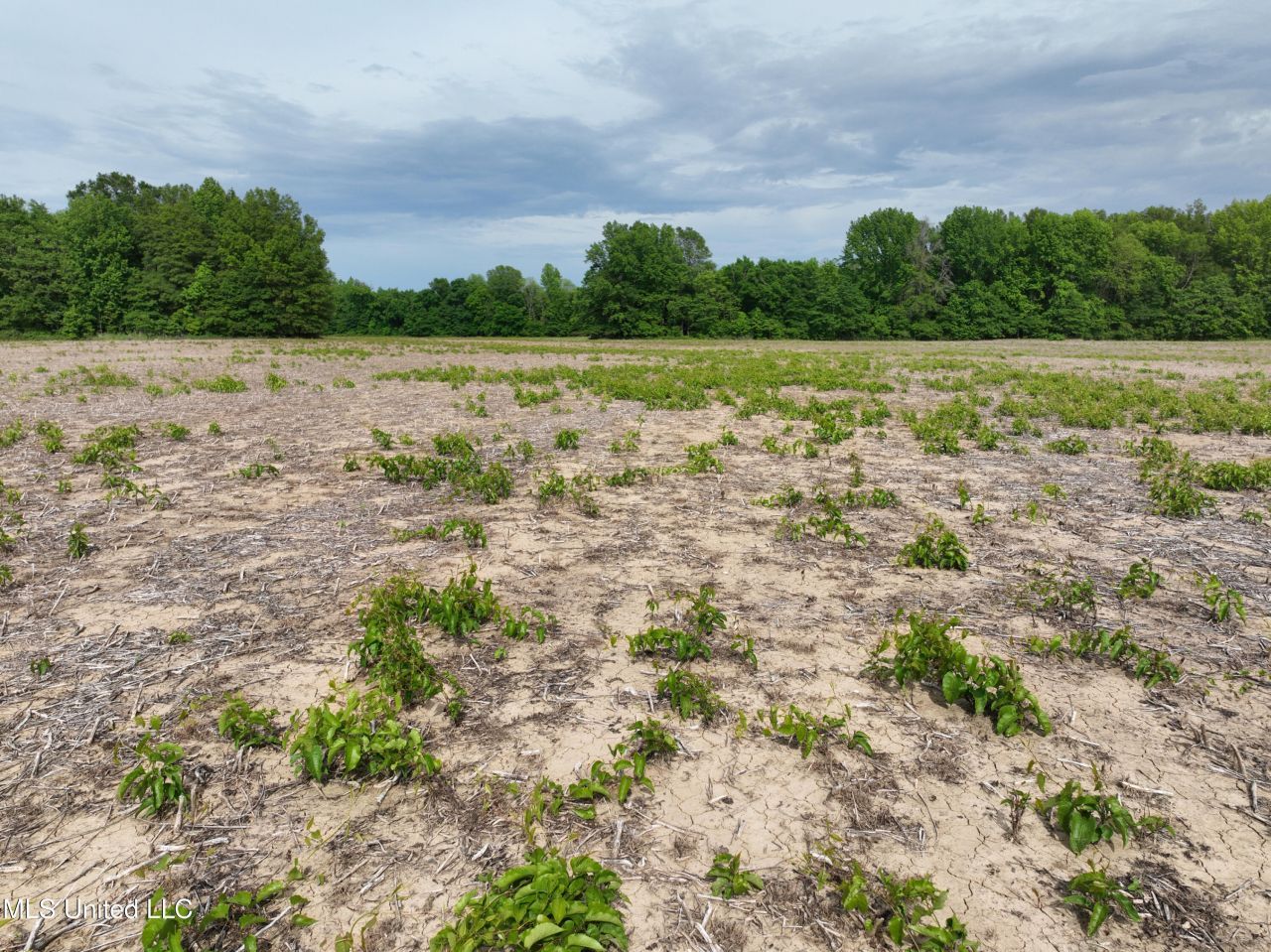 1 Hampton Lake Road, Glendora, MS 38928 Main Photo