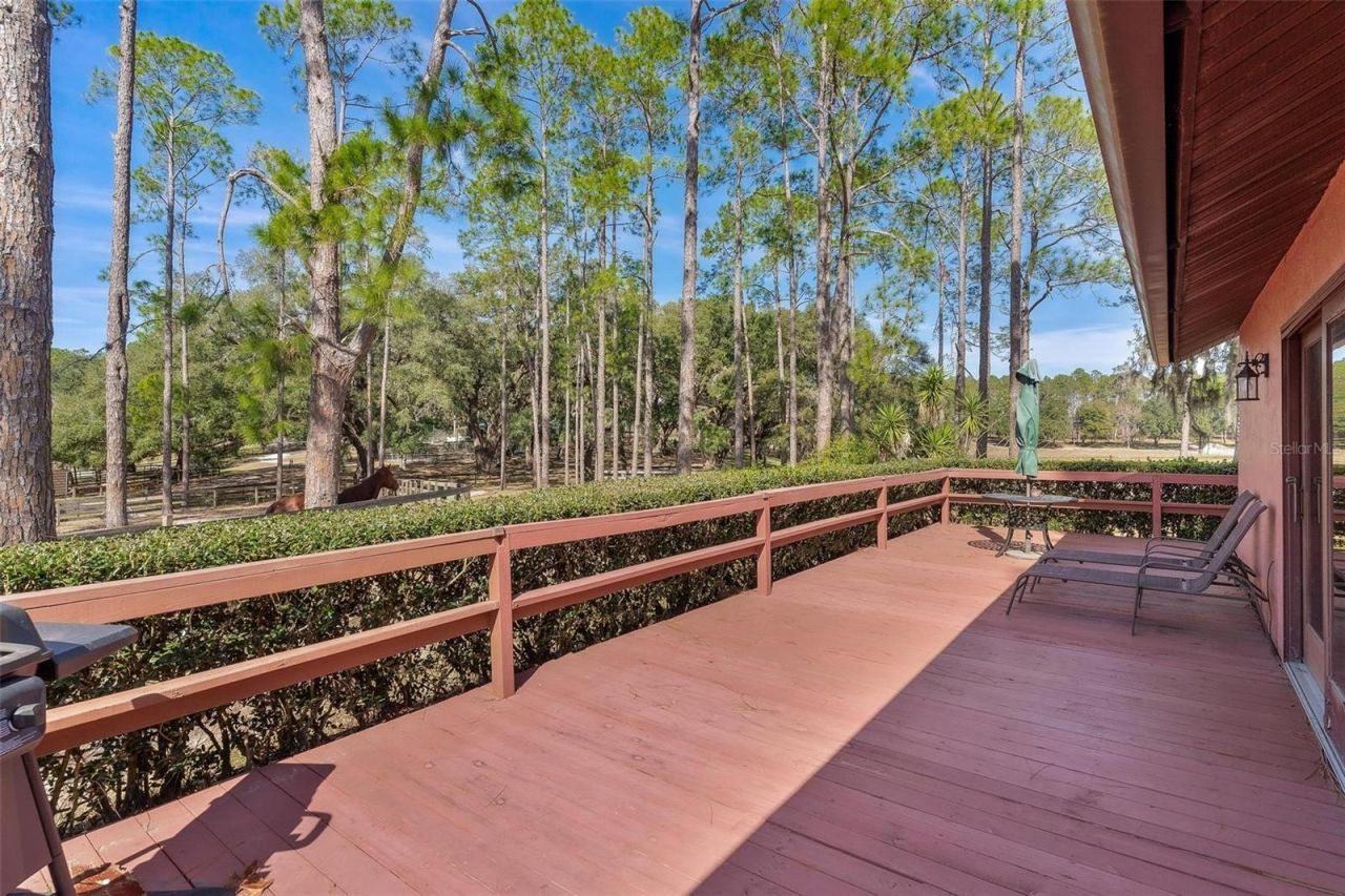 42645 W Altoona Road, Altoona, FL 32702 Photo