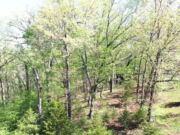 235 Quail Run Drive, Defiance, MO 63341