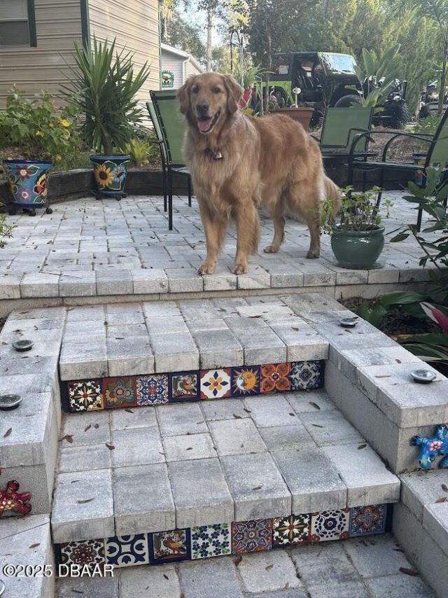 25244 NE 143rd (lot 180) Street, Salt Springs, FL 32134 Photo