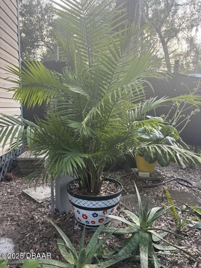 25244 NE 143rd (lot 180) Street, Salt Springs, FL 32134 Photo