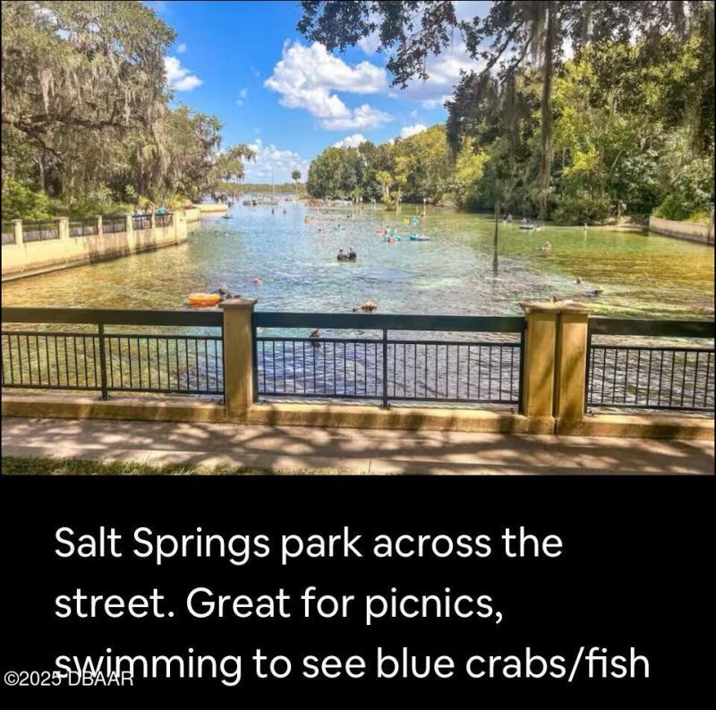 25244 NE 143rd (lot 180) Street, Salt Springs, FL 32134 Photo