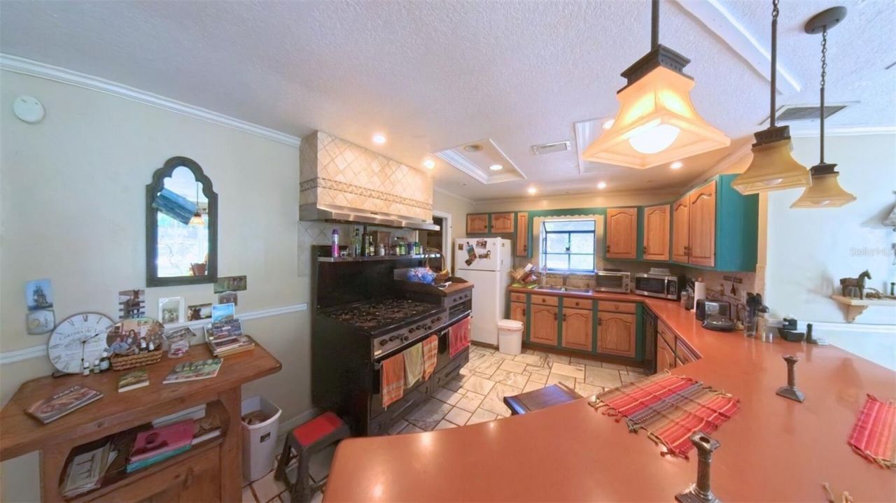 4540 W Highway 318, Citra, FL 32113 Photo