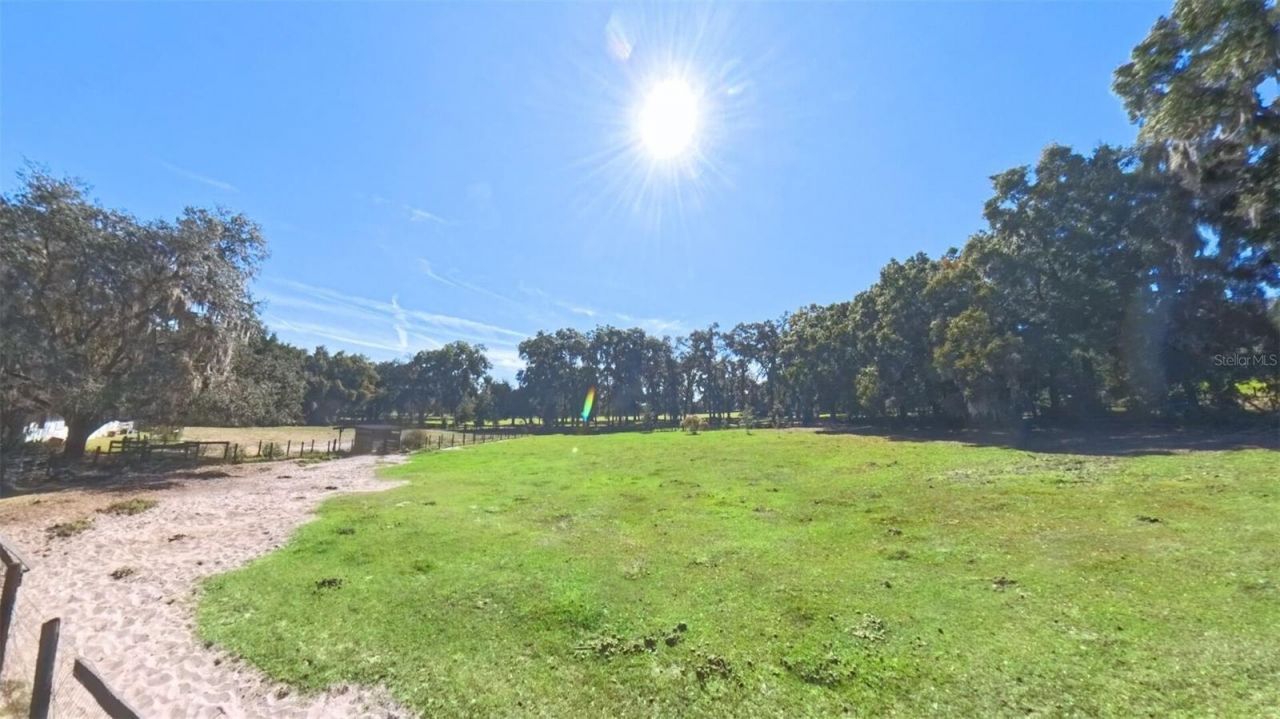 4540 W Highway 318, Citra, FL 32113 Photo