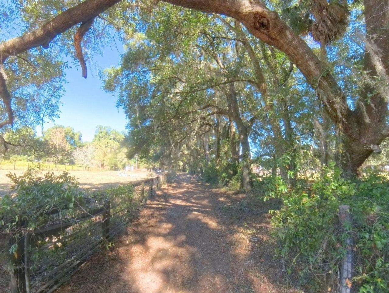 4540 W Highway 318, Citra, FL 32113 Photo