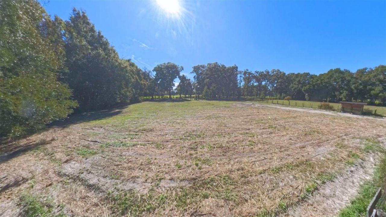 4540 W Highway 318, Citra, FL 32113 Photo